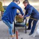 afbeelding-van-whatsapp-op-2025-03-08-om-1407455acfe05e.jpg
