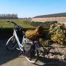 afbeelding-van-whatsapp-op-2025-03-08-om-2028501331e852.jpg