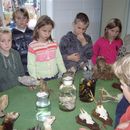 scholen_project_2008_009.jpg