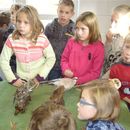 scholen_project_2008_012.jpg