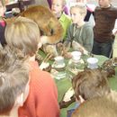 scholen_project_2008_013.jpg