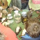 scholen_project_2008_015.jpg