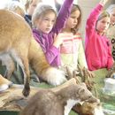 scholen_project_2008_022.jpg
