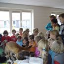 scholen_project_2008_044.jpg