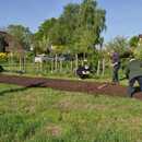 afbeelding-van-whatsapp-op-2025-05-04-om-121918d963ade3.jpg