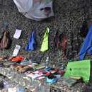 afbeelding-van-whatsapp-op-2025-06-01-om-120004cacc396f.jpg
